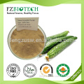 100% Pure Natural Cucumber Juice Powder Dried dehydrated Vegetable Cucumber Powder